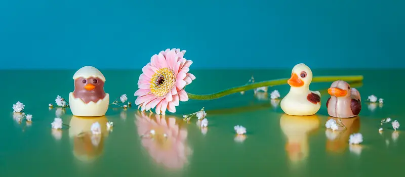 easter campaign chocolate photography big box of chocolate in pink, for easter. ghraoui chocolate bombons in duck and egg shape.